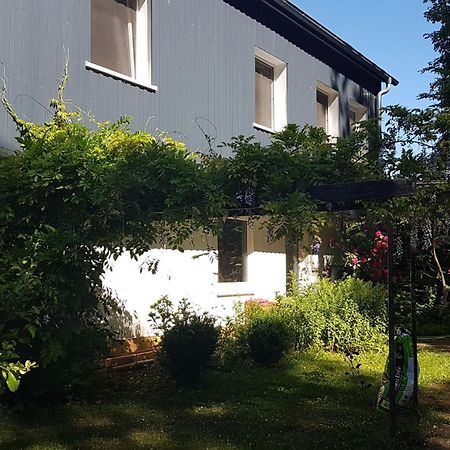 Ruhige Ferienwohnung „Suedhang“ Direkt Am Wald Bad Arolsen Exteriör bild