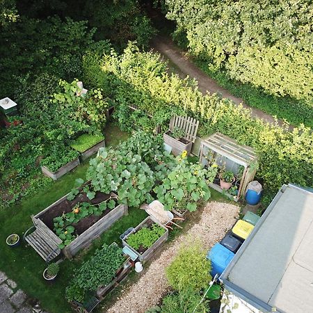 Ruhige Ferienwohnung „Suedhang“ Direkt Am Wald Bad Arolsen Exteriör bild