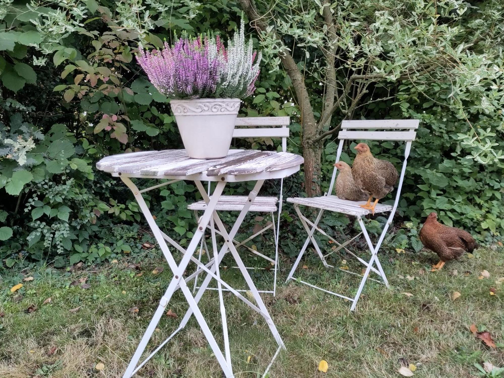 Ruhige Ferienwohnung „Suedhang“ Direkt Am Wald Bad Arolsen Exteriör bild