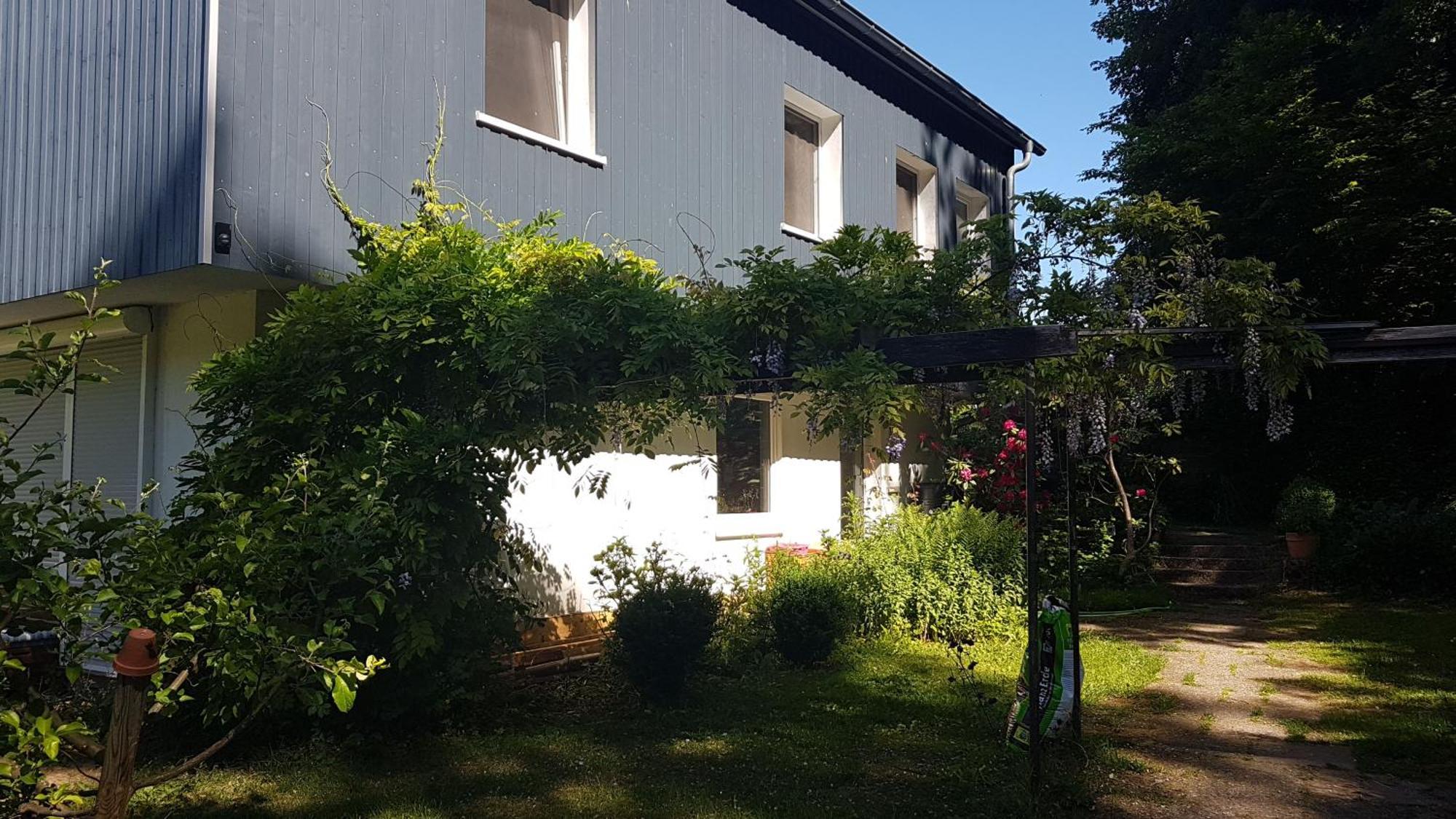 Ruhige Ferienwohnung „Suedhang“ Direkt Am Wald Bad Arolsen Exteriör bild