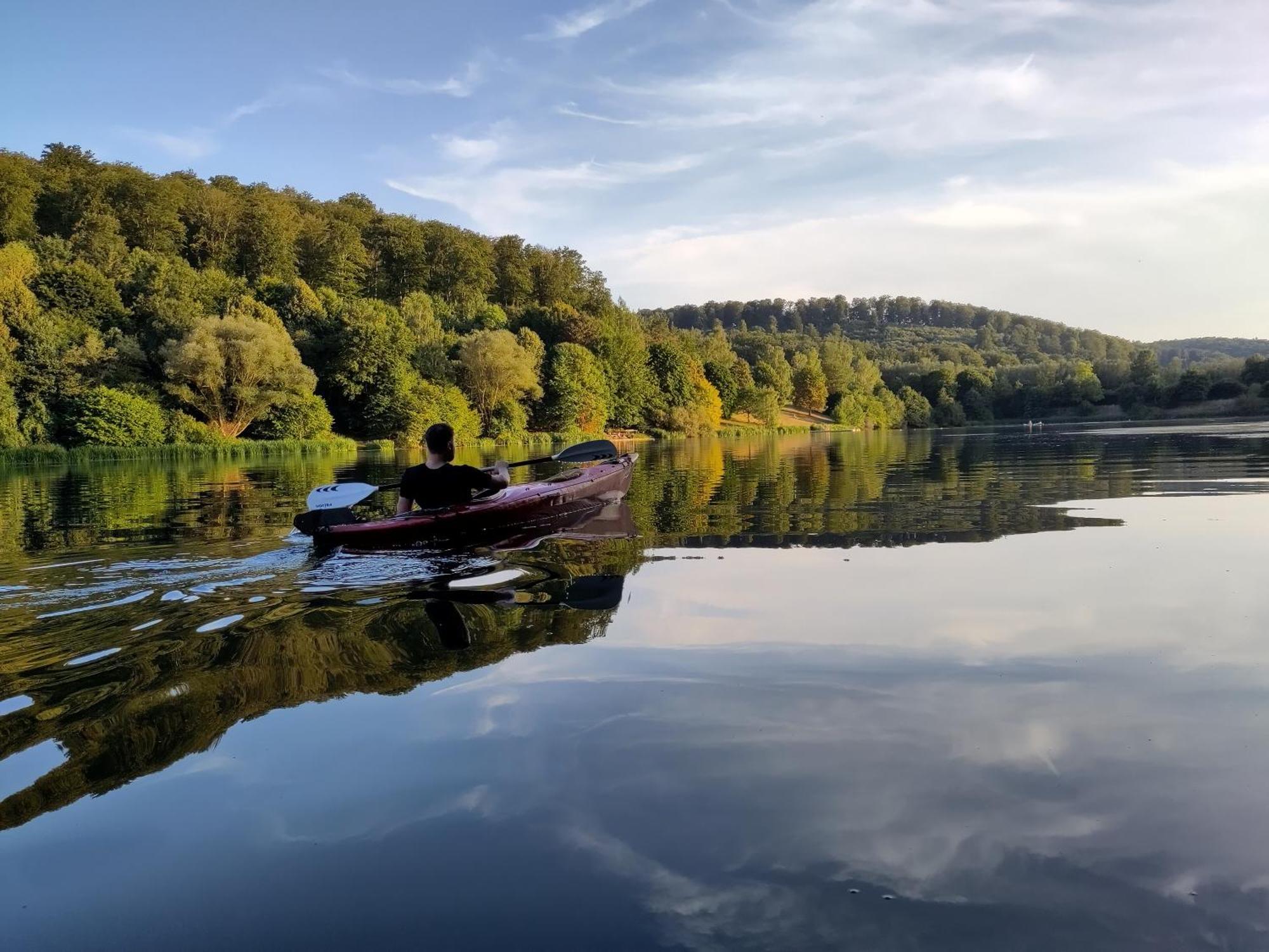 Ruhige Ferienwohnung „Suedhang“ Direkt Am Wald Bad Arolsen Exteriör bild