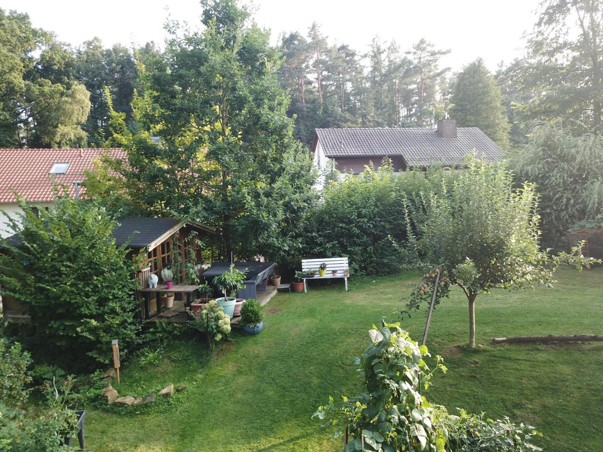 Ruhige Ferienwohnung „Suedhang“ Direkt Am Wald Bad Arolsen Exteriör bild